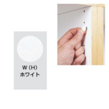 �z���C�g�@FCP-01W 