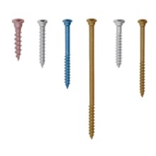 [BX�J�l�V��] �����Ƃ߂��p�r�X ���� 