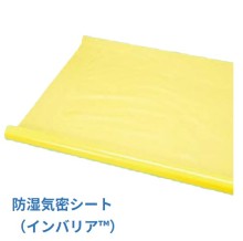 [�O�H����] �C���o���A 