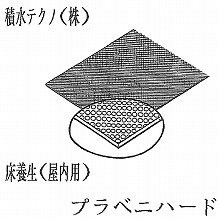 [�ϐ��e�N�m] �v���x�j�n�[�h 