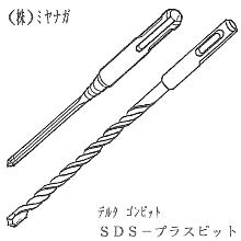 [�~���i�K] �f���^�S���r�b�gSDS-�v���X 