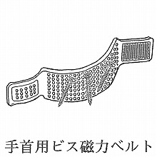 ���p �r�X���΃x���g 