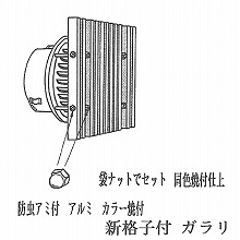 �K���� �V�i�q�t 