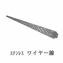 ���C���[�� �X�e�����X 