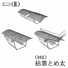 [�R�j�V] �͗t�Ƃߑ� 