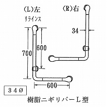 [�����C���X] �j�M���o�[ 34�Ӂ@L�^ 