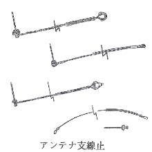 �A���e�i�x���~  