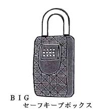 �Z�[�t�L�[�v�{�b�N�X 