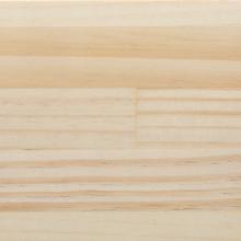 ���W�A�[�^�p�C�� 