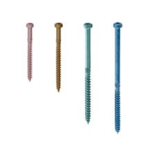 [BX�J�l�V��] �����Ƃ߂��p�r�X �i�x�� 